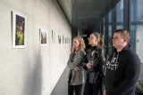 Výstava fotografií z válkou zasažené Ukrajiny