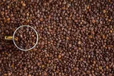 coffee-13241261920113858.jpg