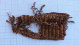 obr07117444.JPG