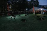 Příliv Příliv