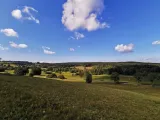 b141488.jpg